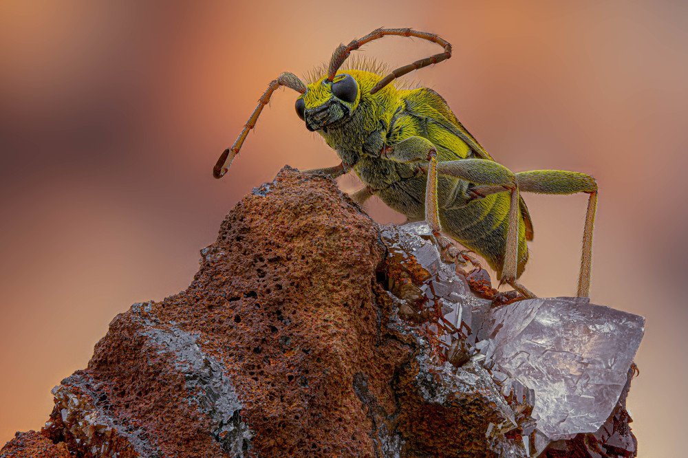 Photograph by Norberto Martínez