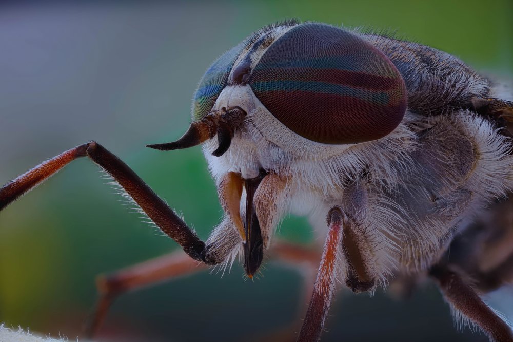 Photograph by Norberto Martínez