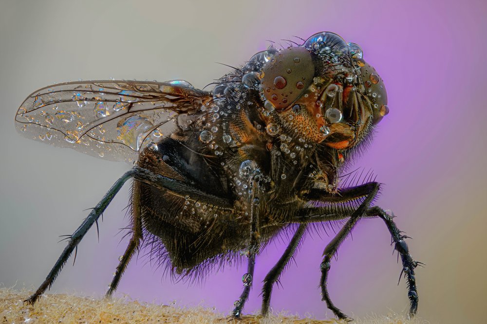 Photograph by Norberto Martínez