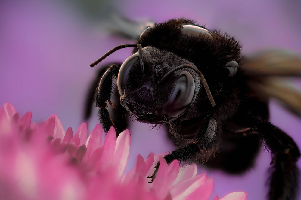 Photograph by Norberto Martínez