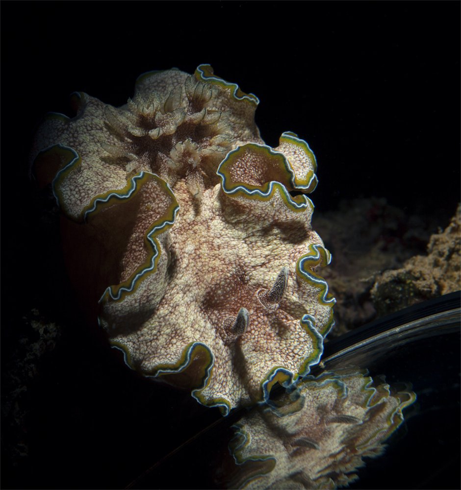 Photograph by Юрий Перевозников