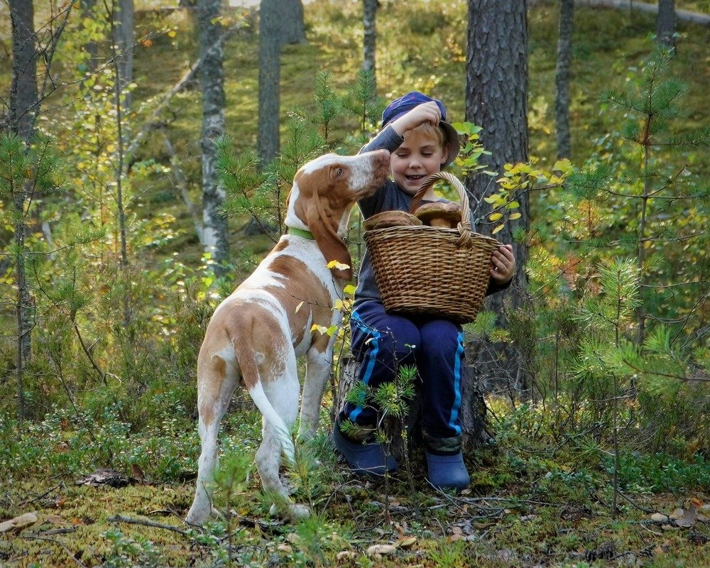 Photograph by Марина Безенкина