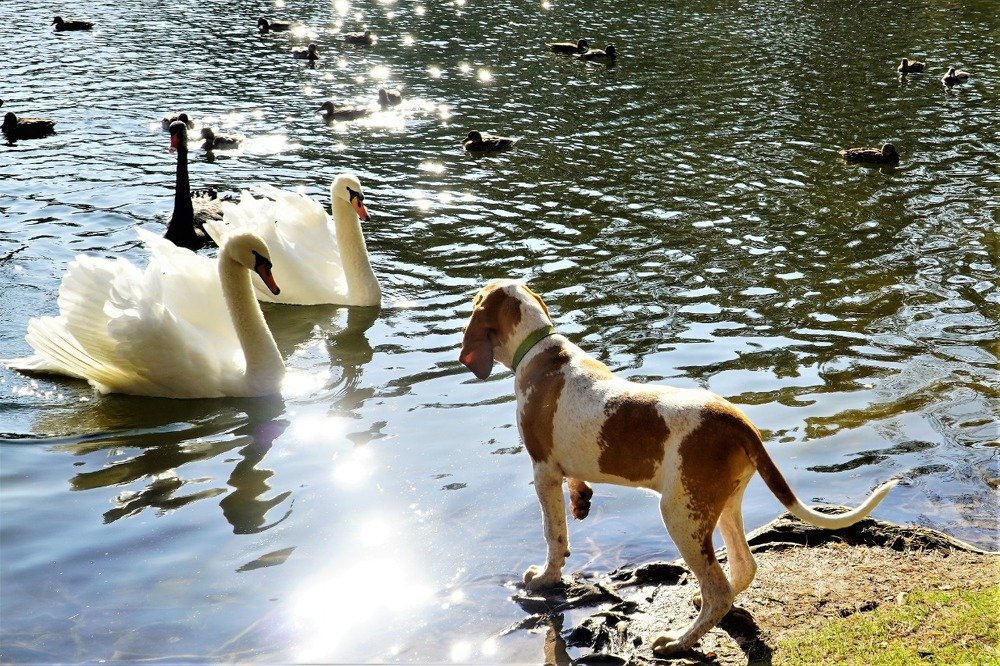 Photograph by Марина Безенкина