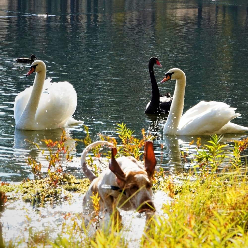 Photograph by Марина Безенкина