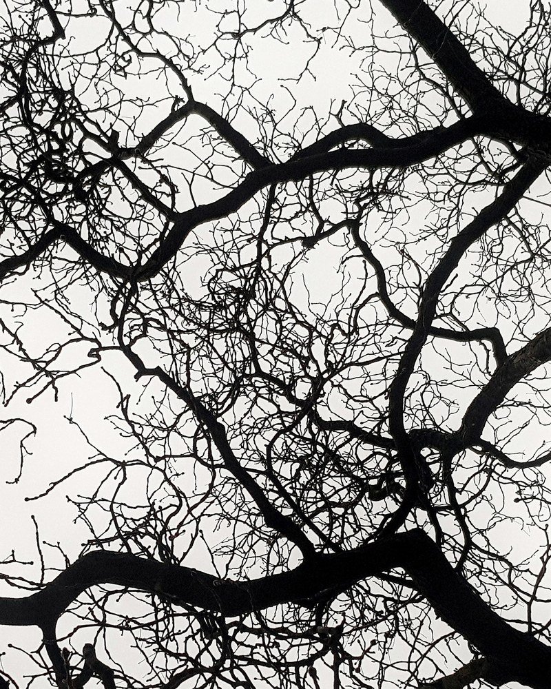 Photograph by Amanda Waldeck