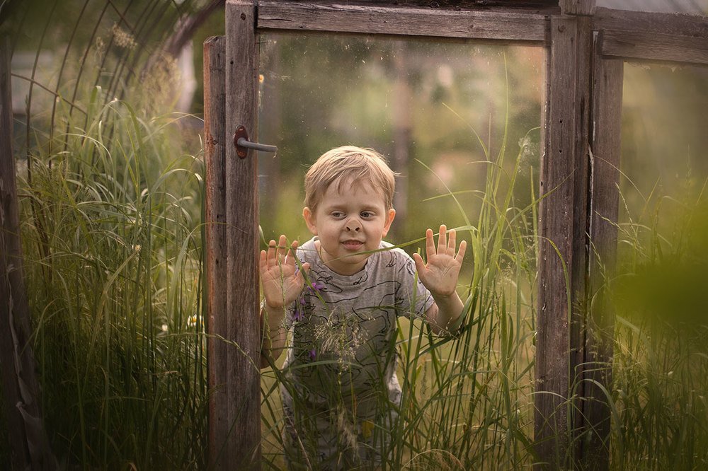 the mystery of the old greenhouse