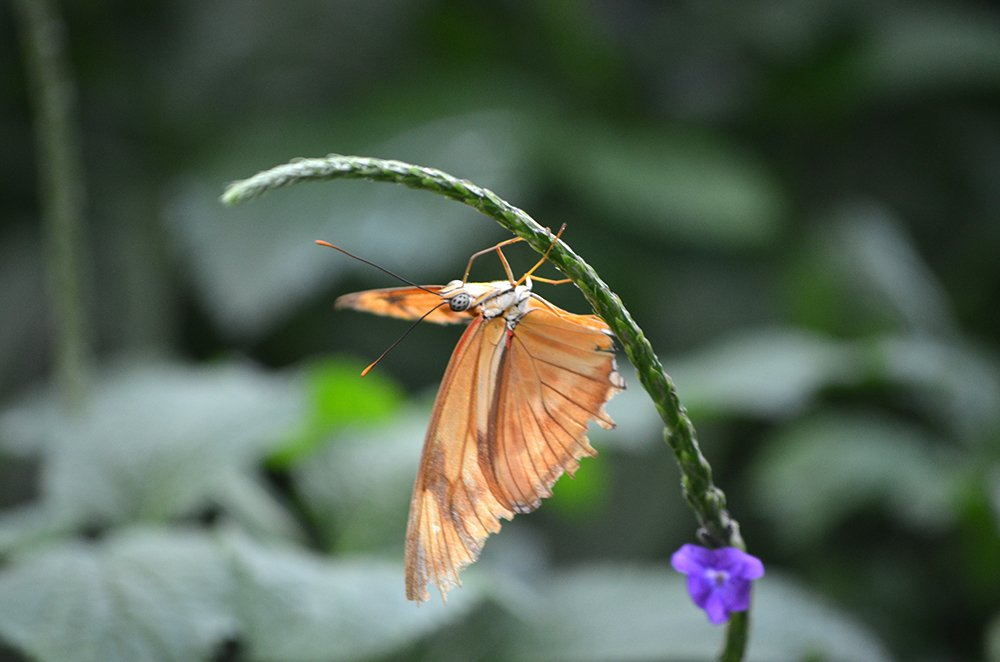 Photograph by Liliana Grup