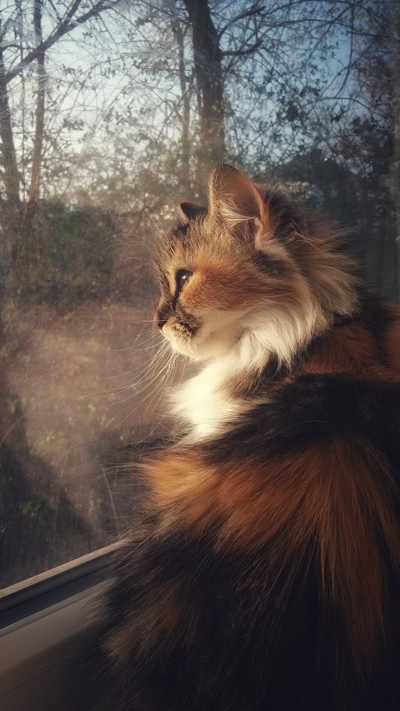 Photograph by Светлана Безъязычная