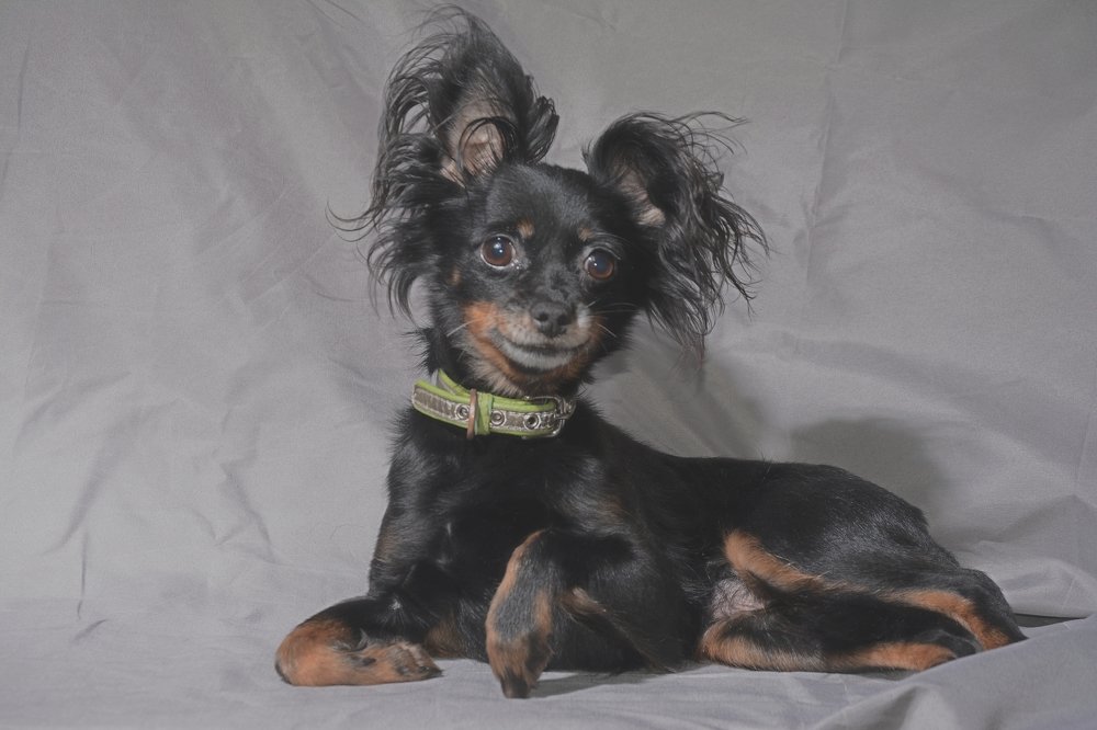 Photograph by Ольга Истомина