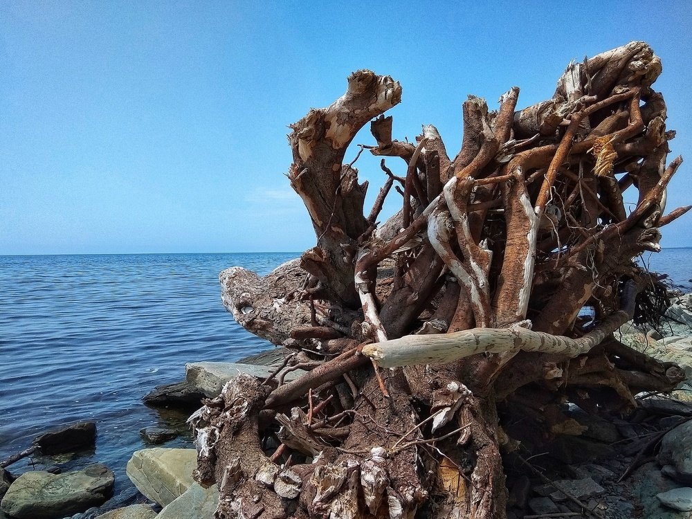 Photograph by Светлана Безъязычная