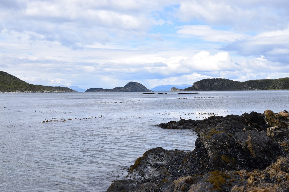 Photograph by Alfredo Jacquemard