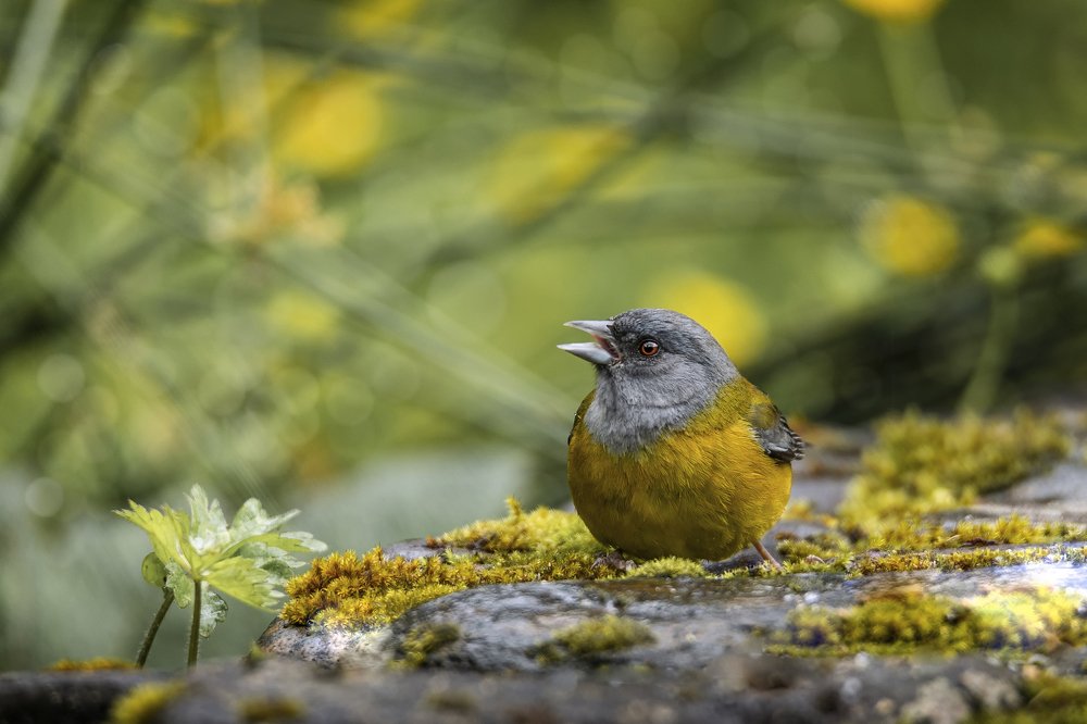 Photograph by Токарев Олег