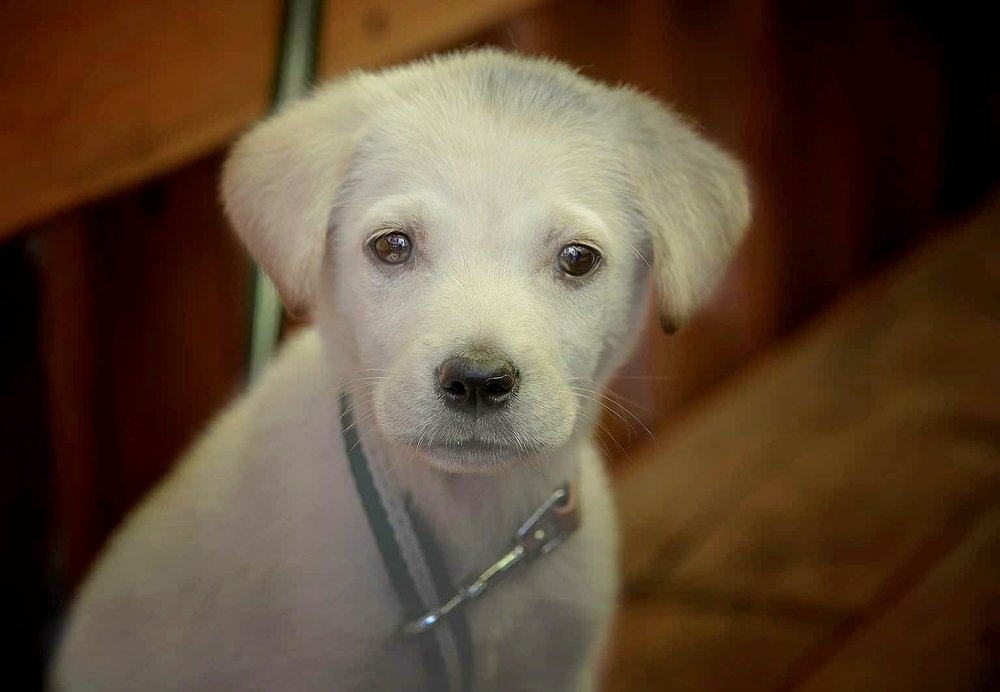 Photograph by Александр Шипиленко