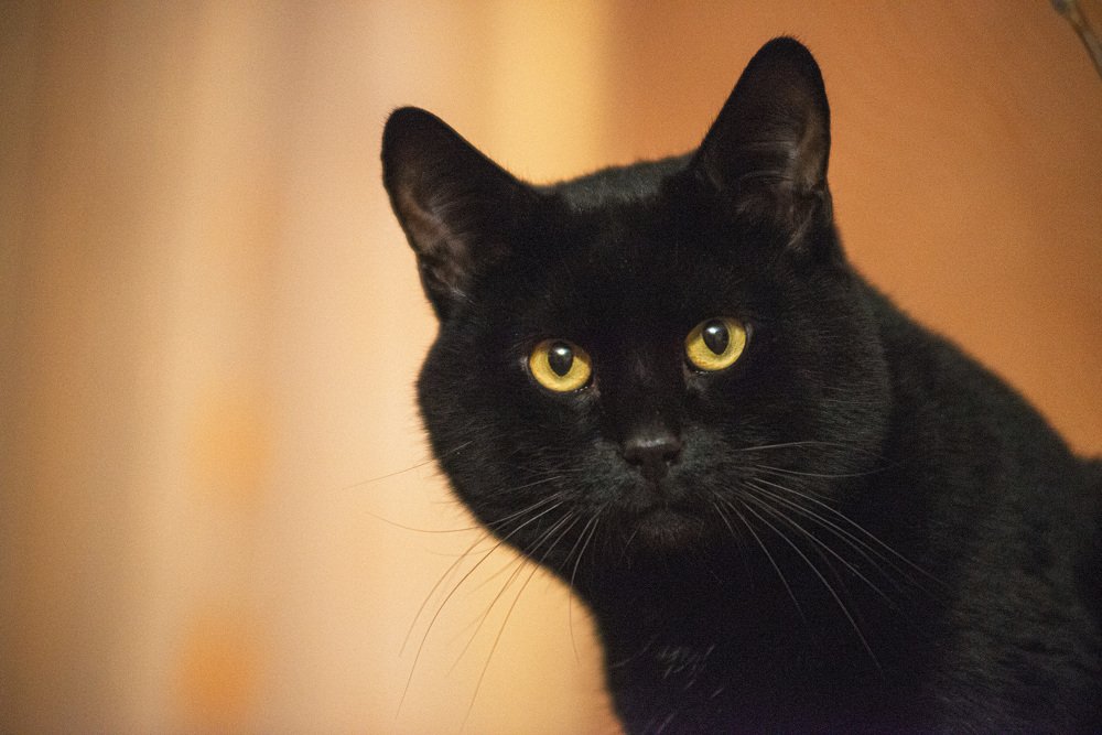 Photograph by Светлана Кудеринова