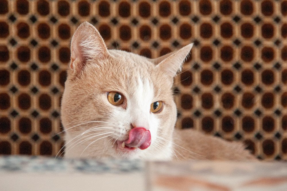 Photograph by Светлана Кудеринова