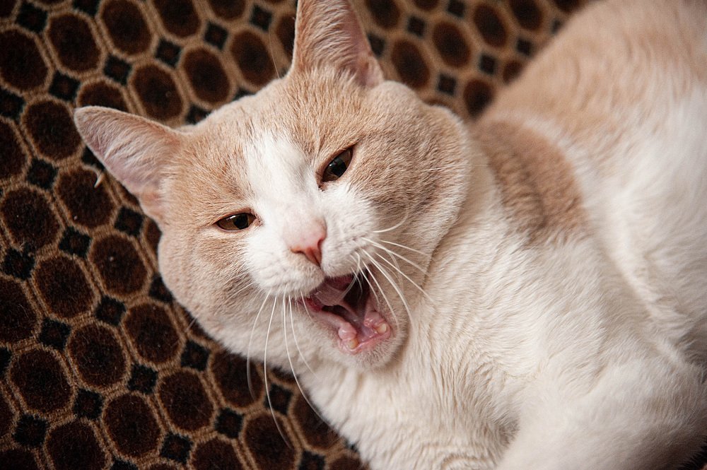 Photograph by Светлана Кудеринова