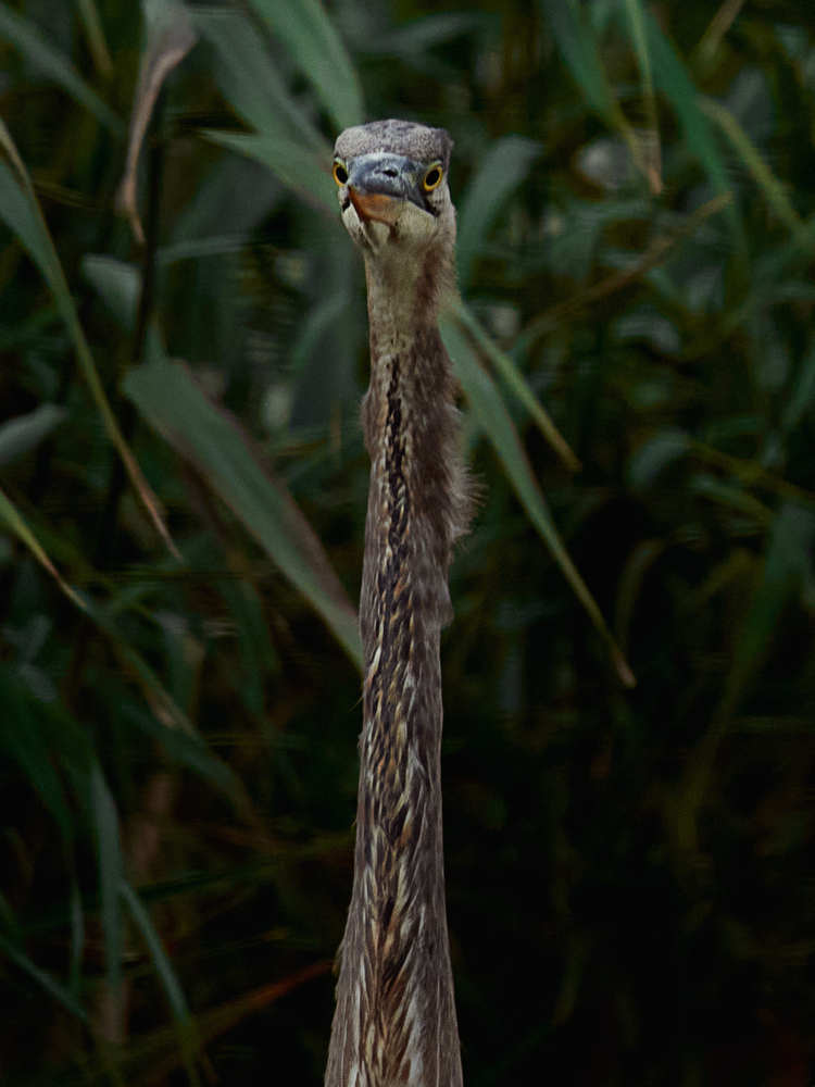 Photograph by Natalia Ghimp