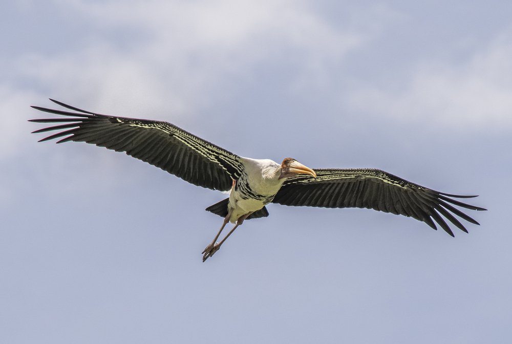 Photograph by Dem Kerrigan