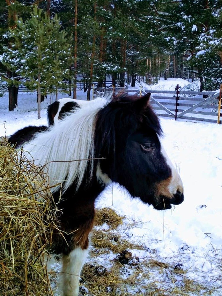 Photograph by Tatiana Koshkina