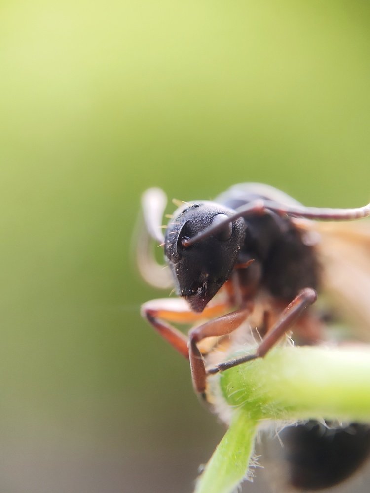 Photograph by Arun Kumar