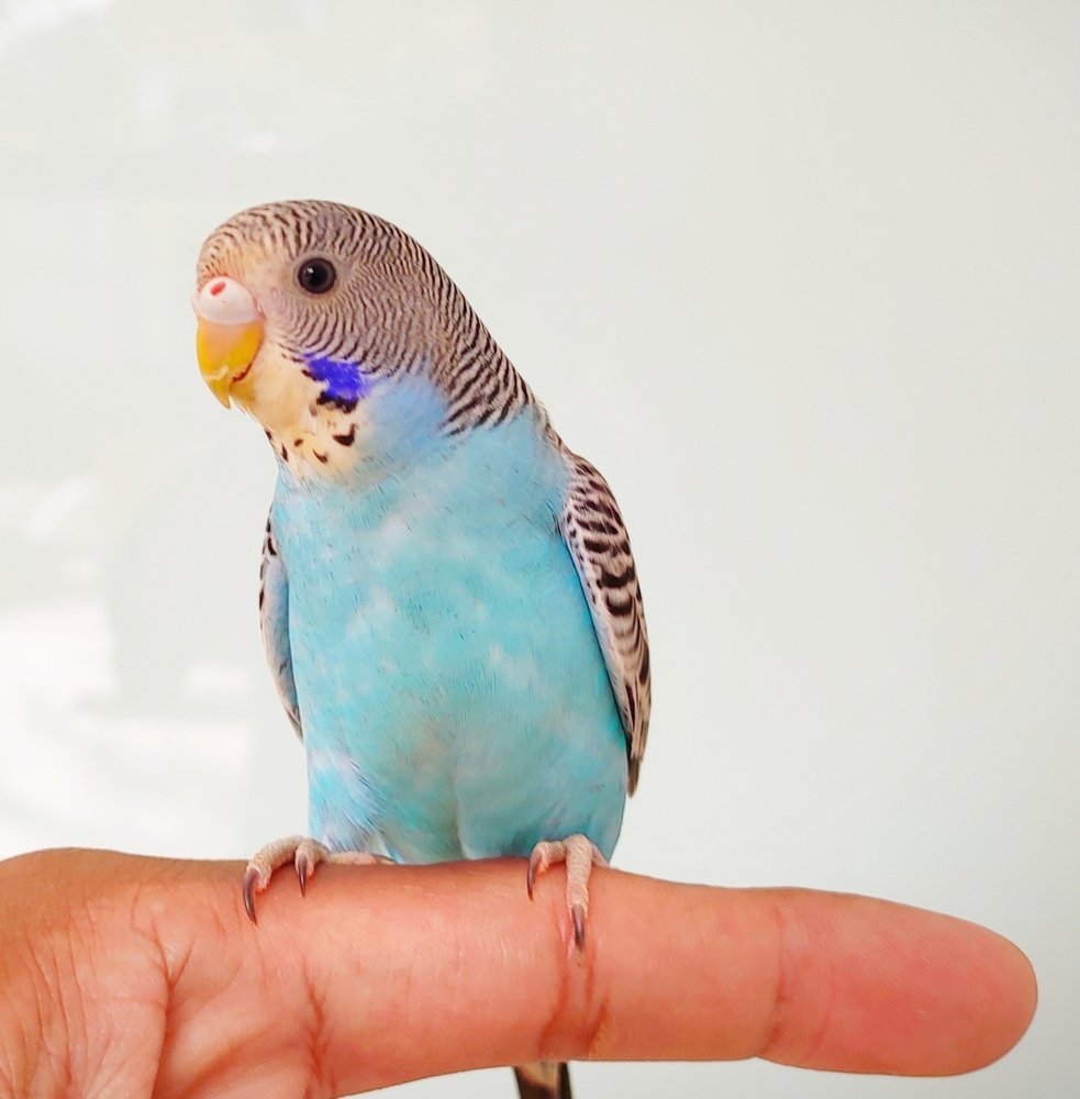 Photograph by Valdez Jonathan