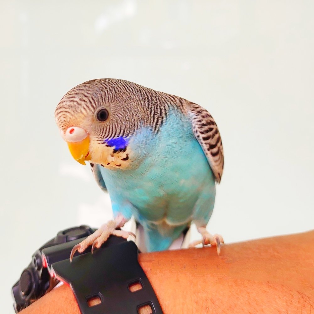 Photograph by Valdez Jonathan