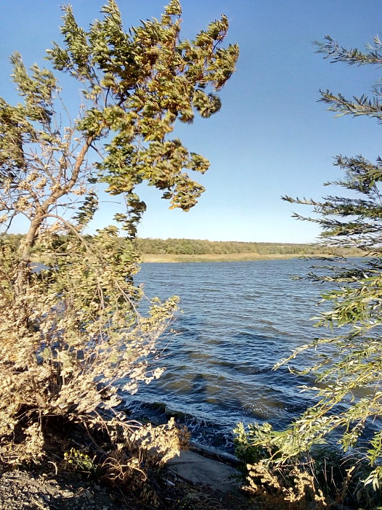 Photo #5036982