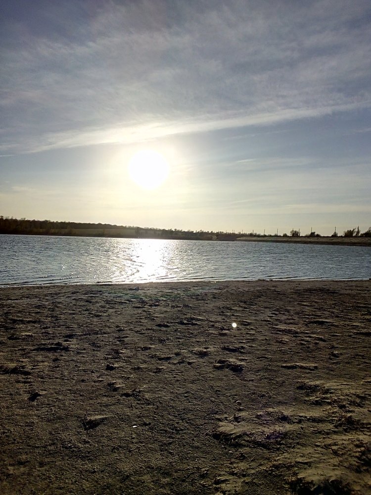 Photo #5036987