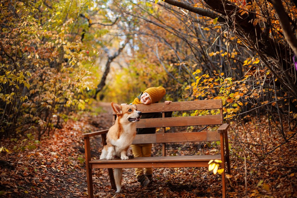 Photograph by Руслан Бикбаев