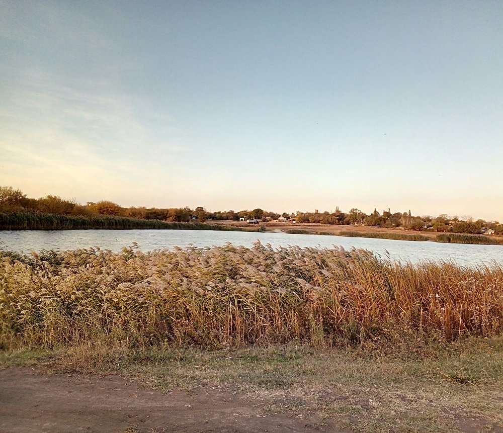 Photo #5037018