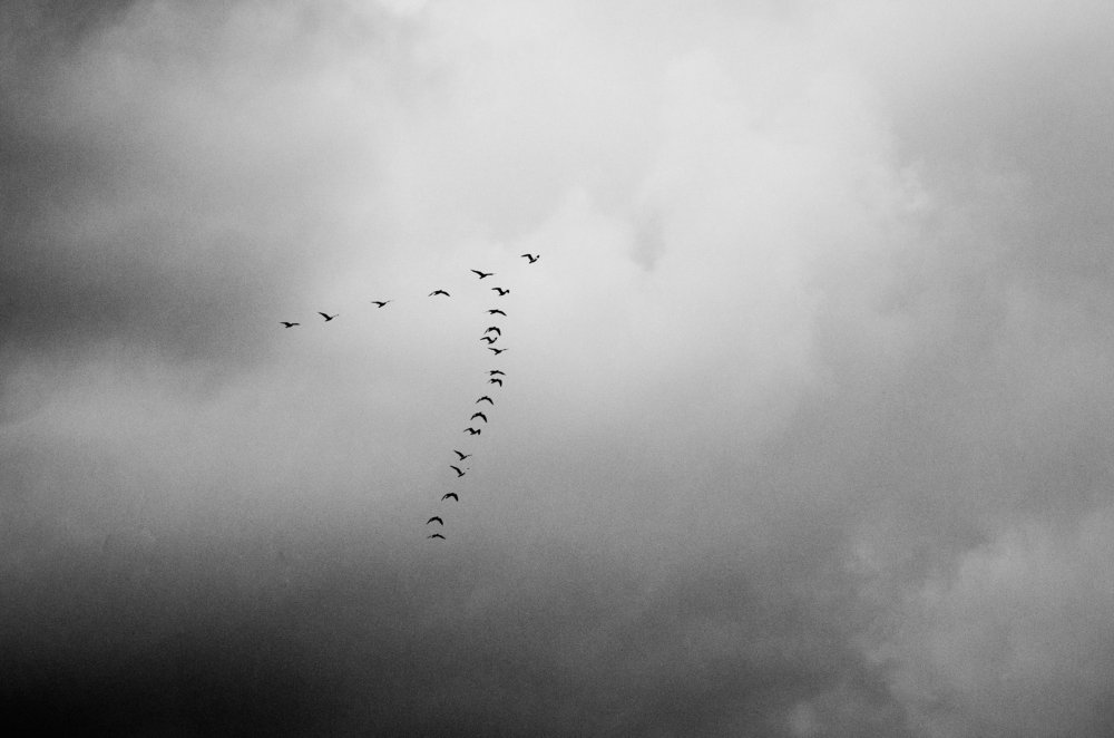 Photograph by Анастасия Кашенко