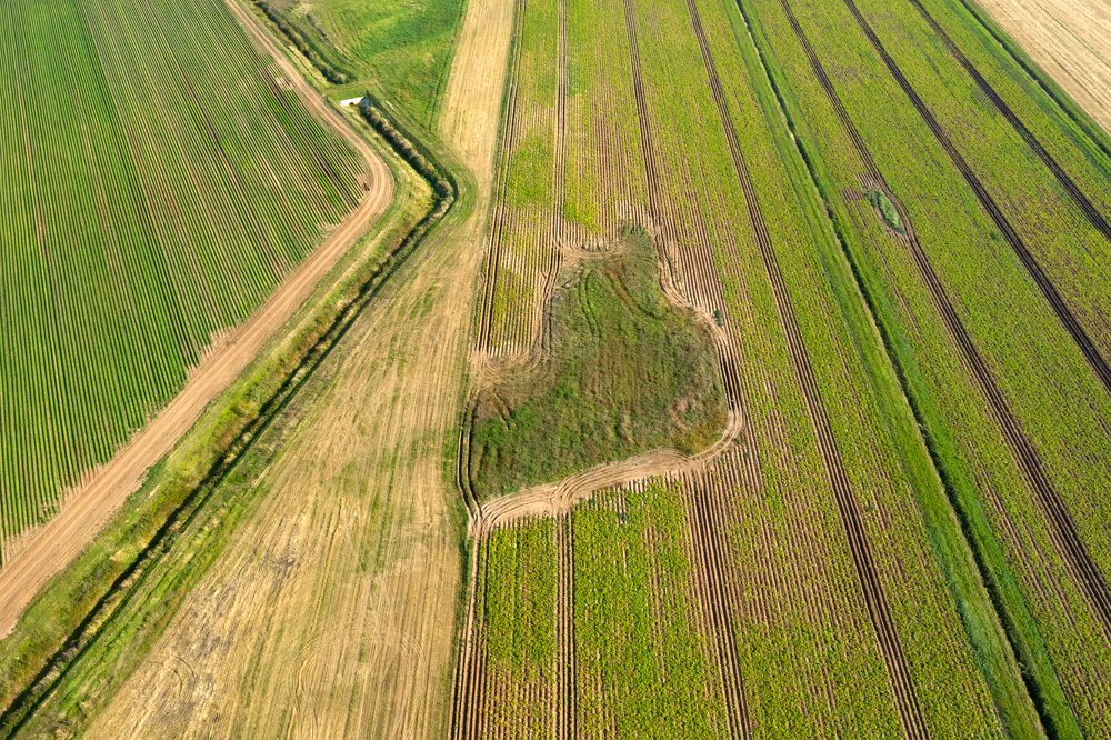 Photograph by Константин Пухов