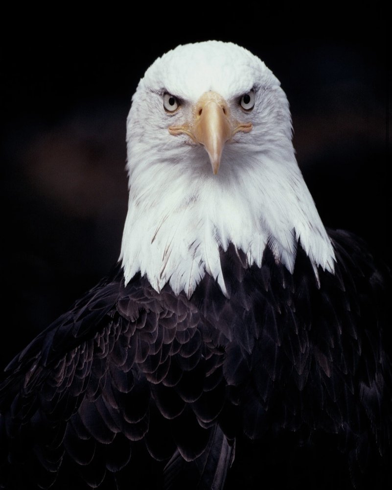 Photograph by Ahsan Ishtiaq