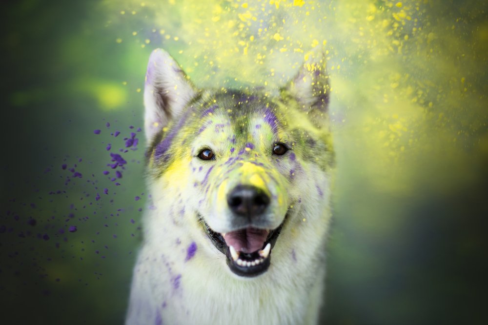 Настроение