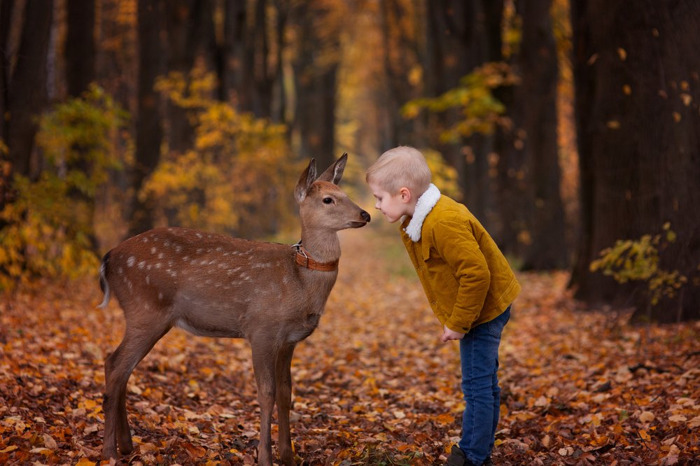 Photograph by Алена Федосова