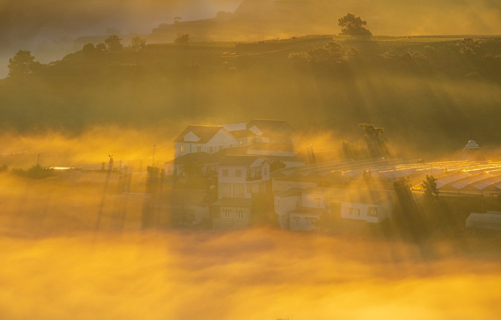 Photograph by Phuc Vo Hoang