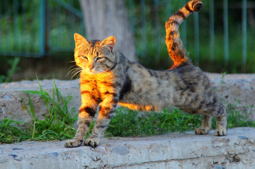 Photograph by Beybit Bertaev