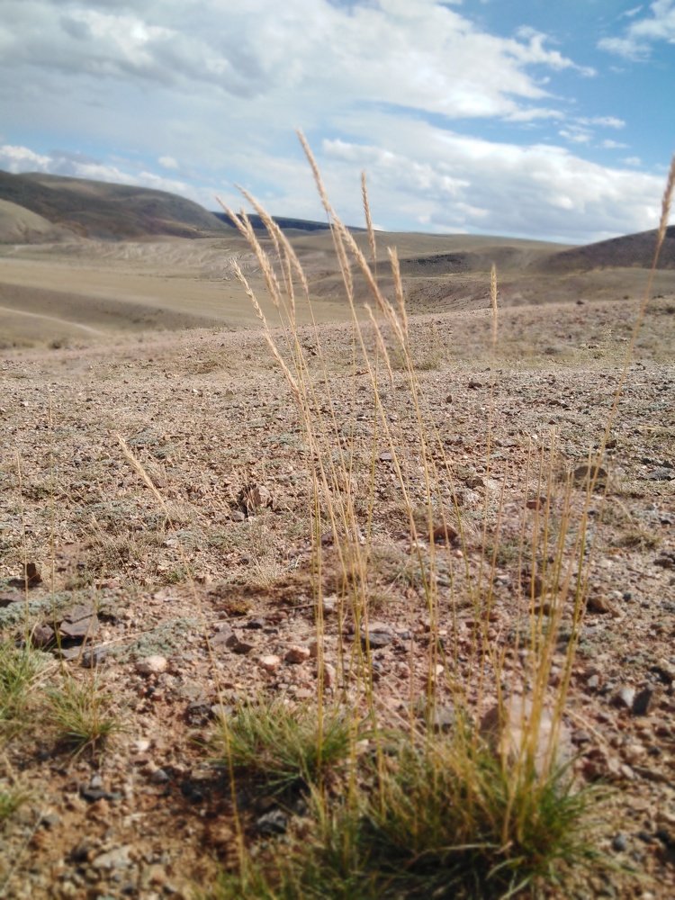 Photograph by Евгения Грудницкая