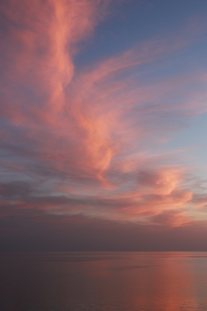 Photograph by Элина Купцова