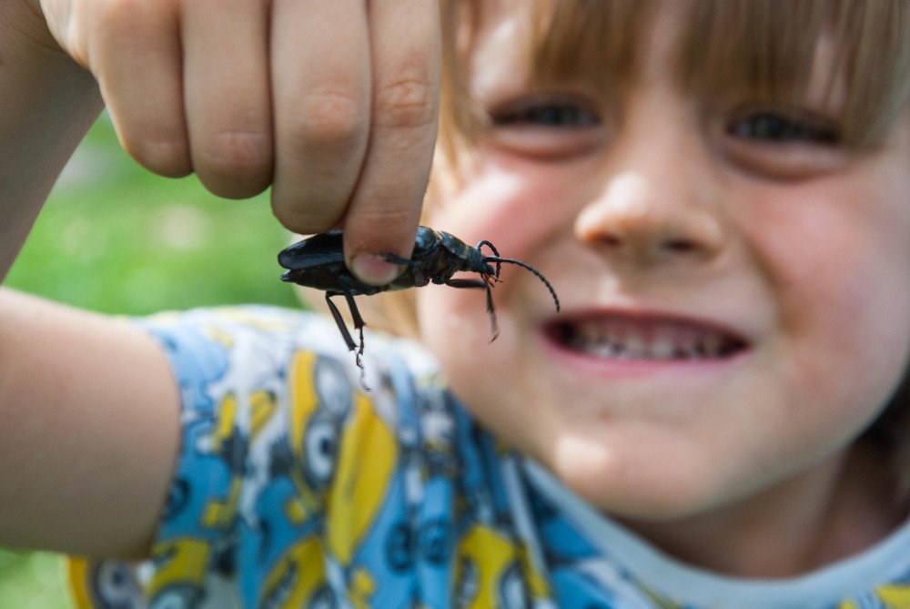 Фотография автора Нина Королевич