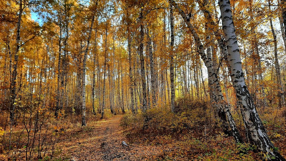 По дороге с Осенью ...