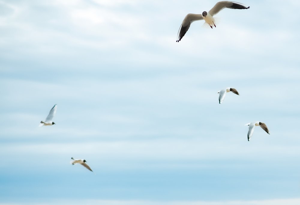 Дорога к морю