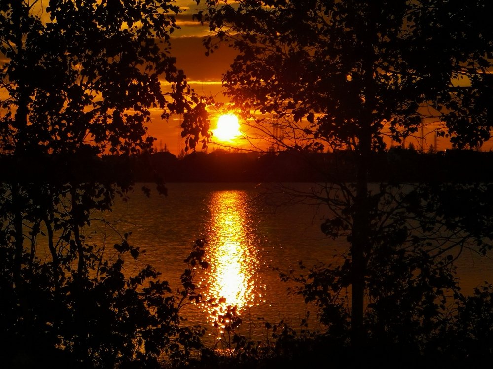 Photograph by Юлия Арестова