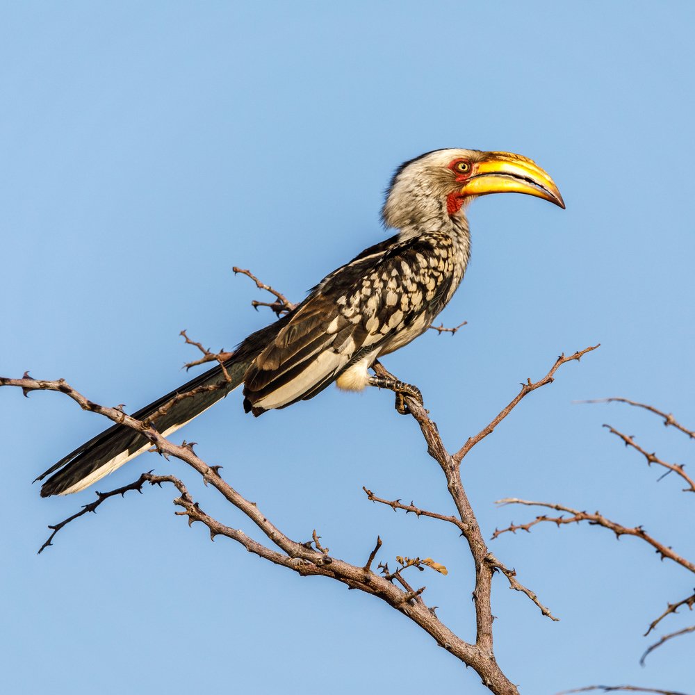 Photograph by Craig Wood