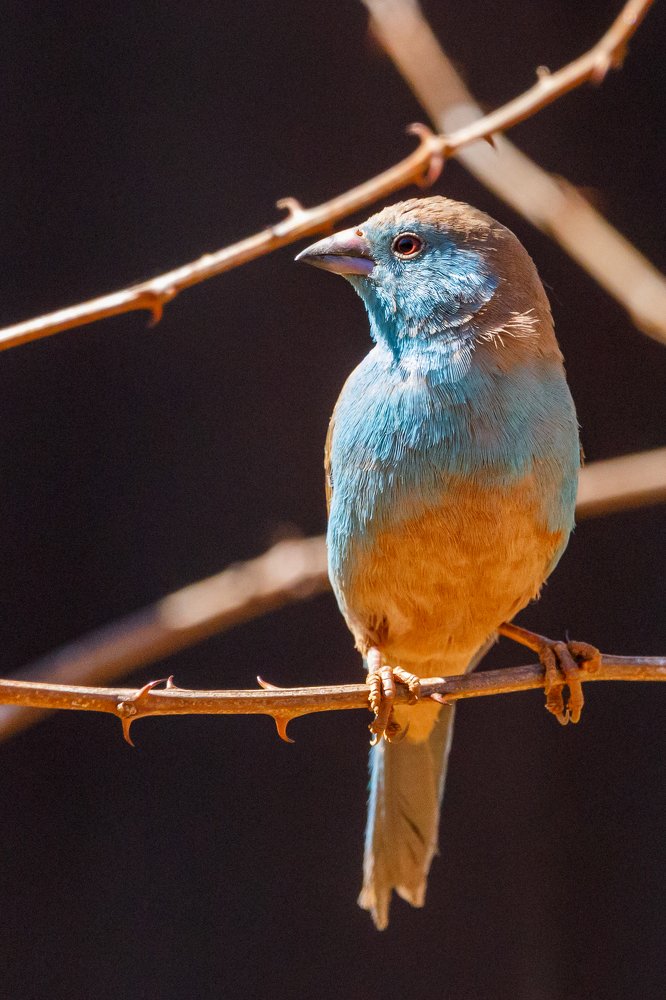 Photograph by Craig Wood