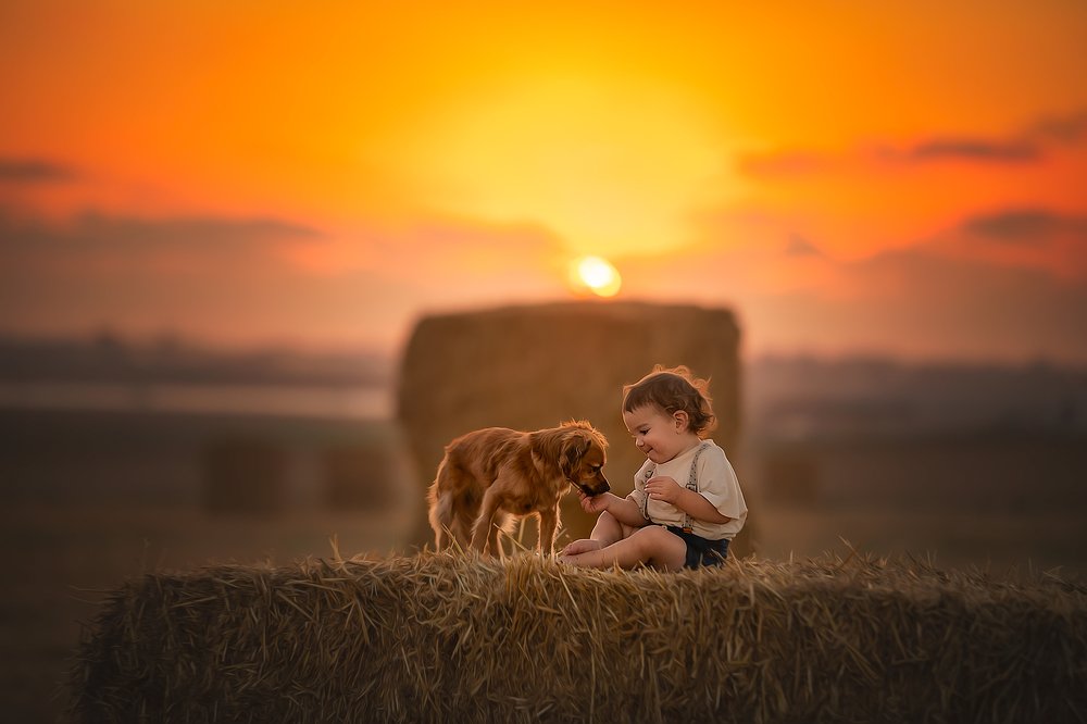 Photograph by yarden kaplan