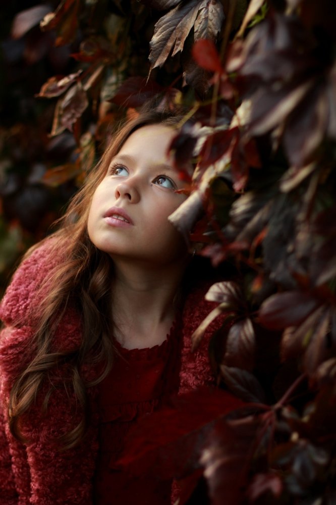 The colors of autumn.  Краски осени