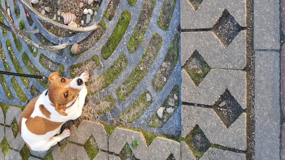 Photograph by Элеонора Ермакова