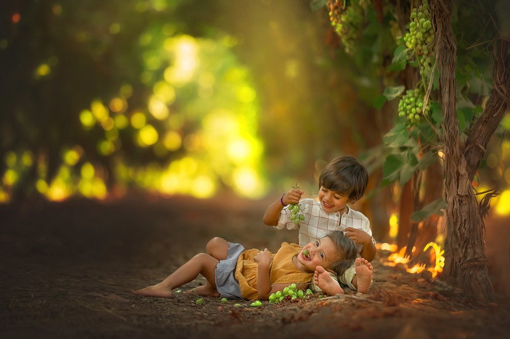 Photograph by yarden kaplan