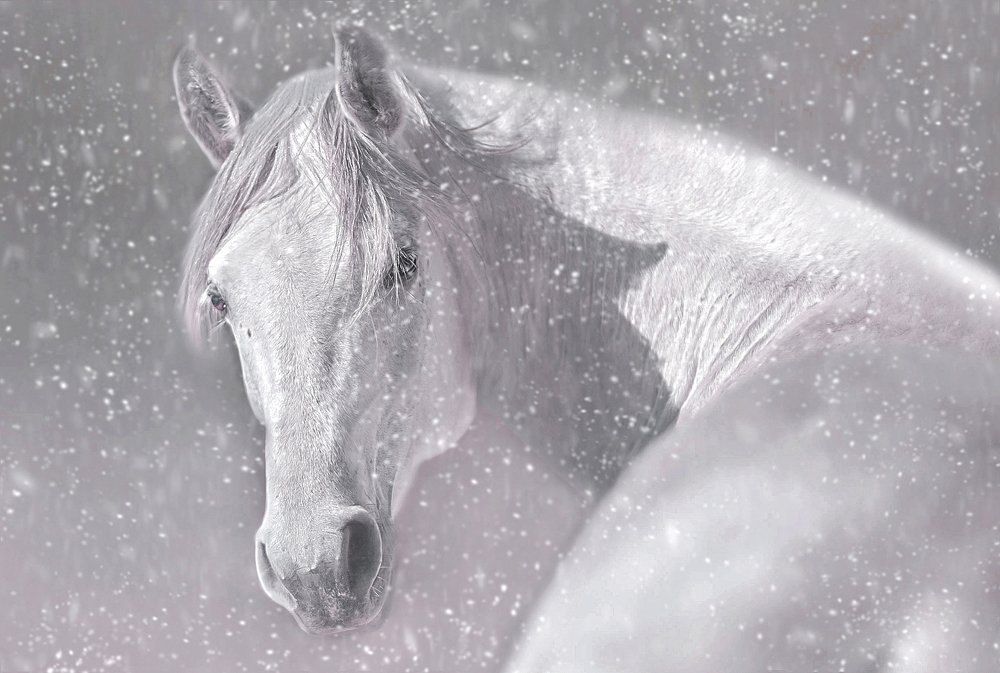 Photograph by Agnieszka Gulczynska